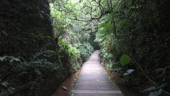 caminho